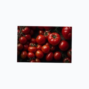 Fresh Tomato