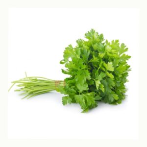 Coriander Leaf Bunch