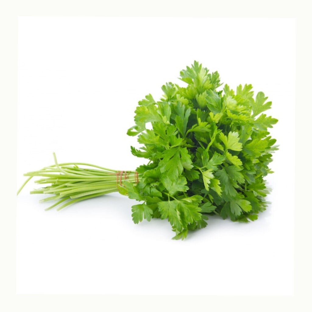 Coriander Leaf Bunch