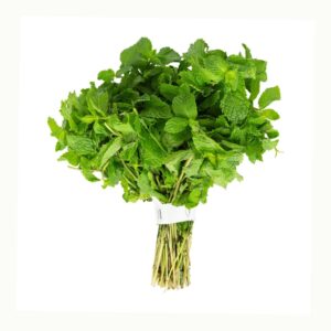 Mint Leaf Bunch